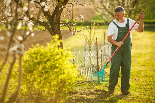 Overgrown tree being safely trimmed by experts
